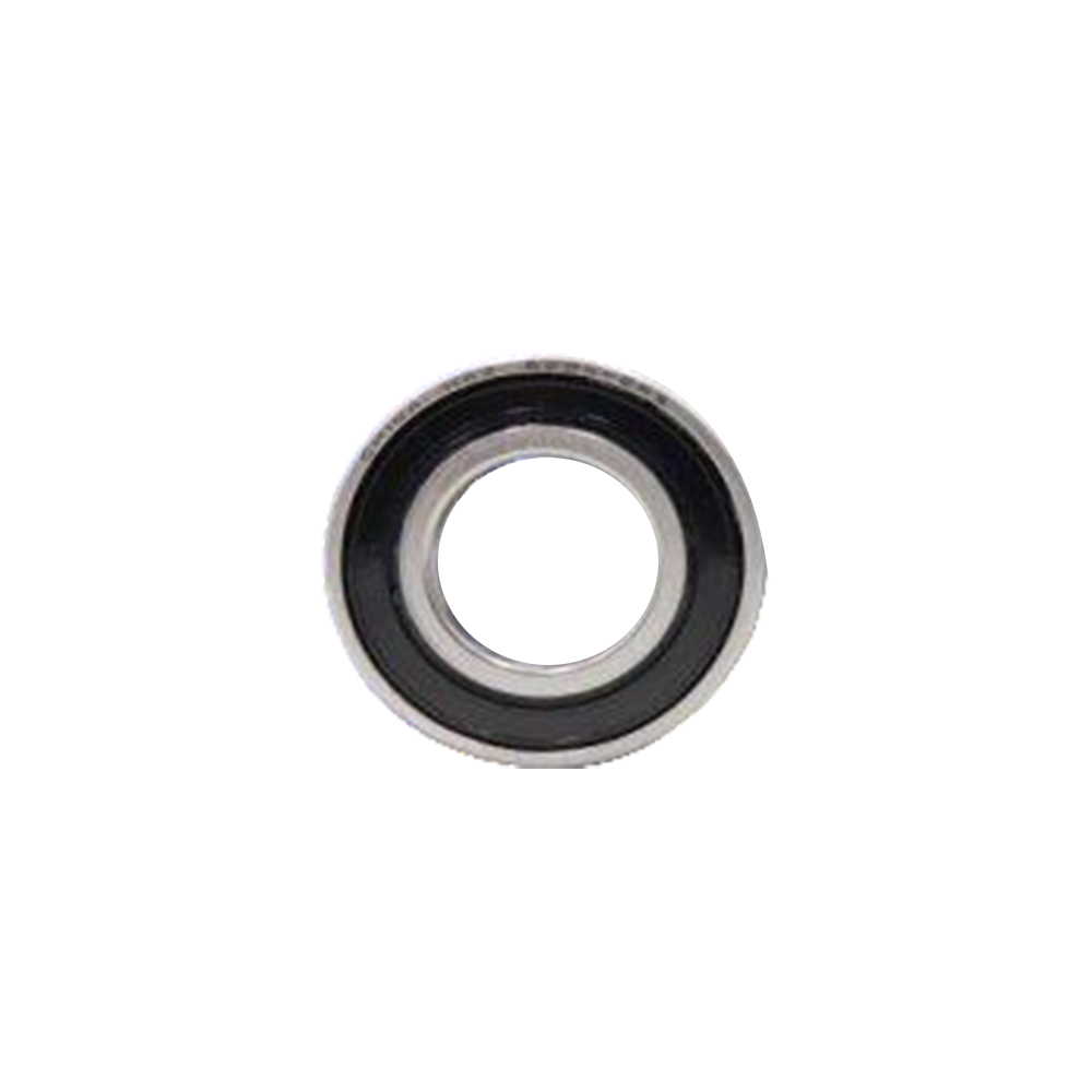 RS Bearing 6002