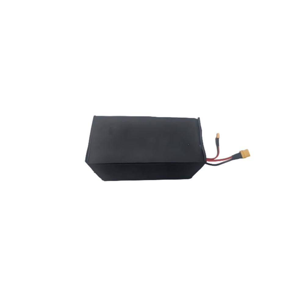 E20 Battery Assembly
