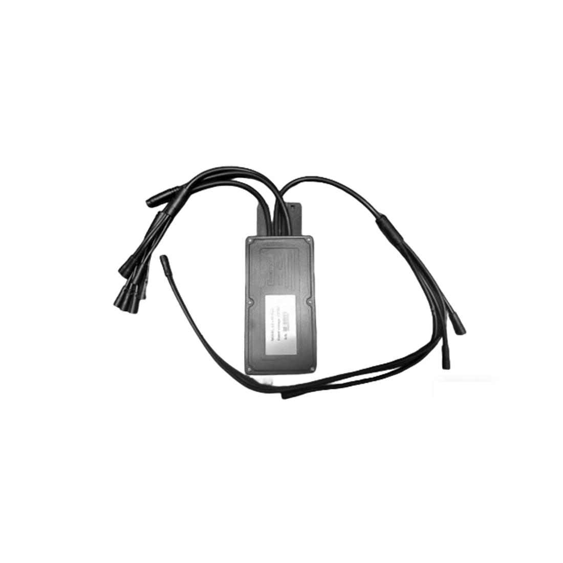 RS/RS Lite Driver Board Assembly