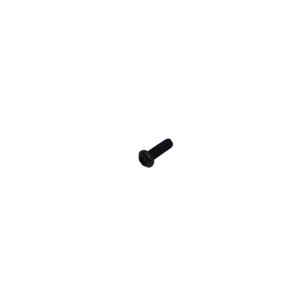 Torx Anti-Theft Round Head Machine Screw