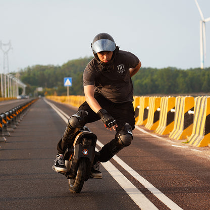 INMOTION V12S
