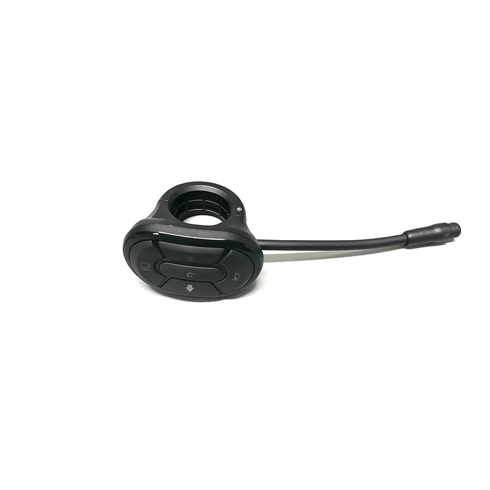 RS/RS Lite Multifunction Switch - Lights