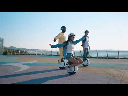 INMOTION E20
